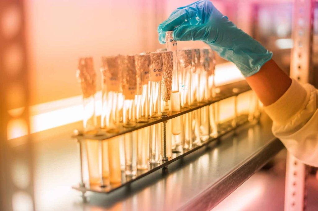 Biotechnology - Biotechfarm