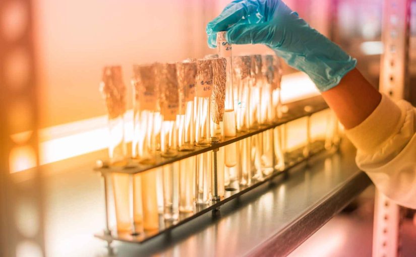 Biotechnology - Biotechfarm