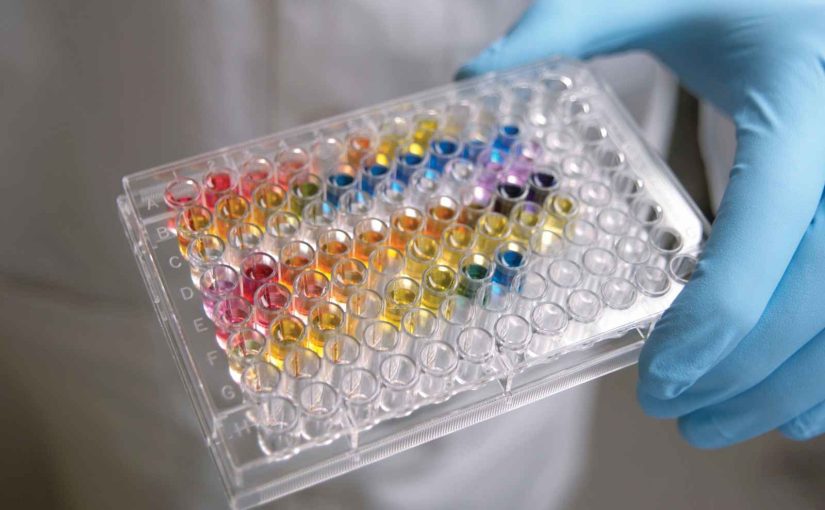 Enhancing Drug Safety: The Role of Liver Toxicity Testing