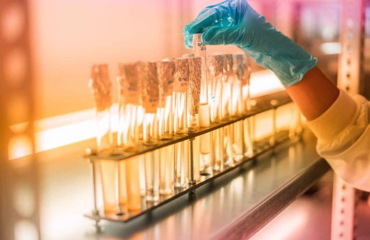 Biotechnology - Biotechfarm2