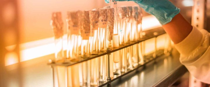 Biotechnology - Biotechfarm2