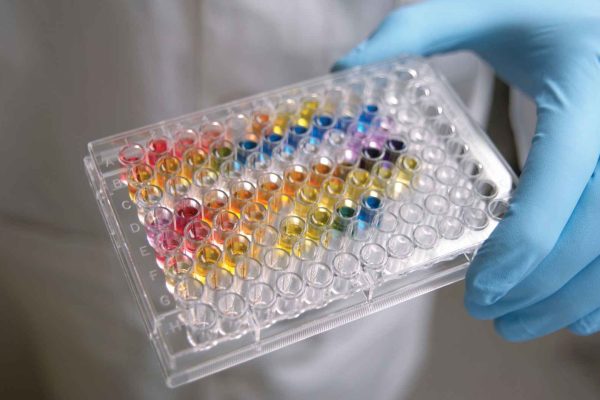 Enhancing Drug Safety: The Role of Liver Toxicity Testing2