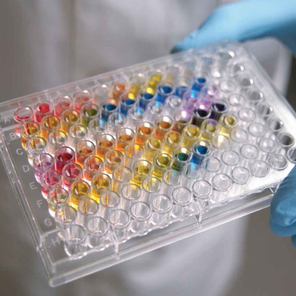 Enhancing Drug Safety: The Role of Liver Toxicity Testing2