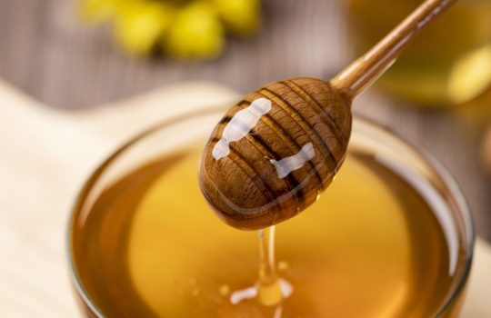 דבש נגוהות2