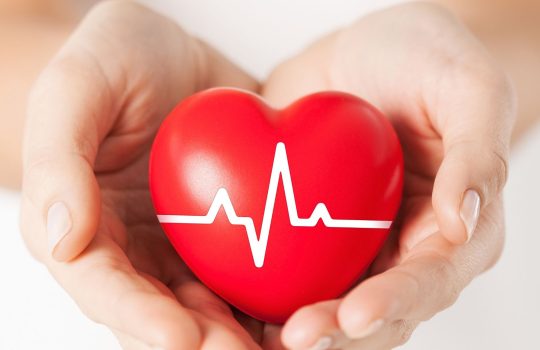 קורס אבחון הדופק2