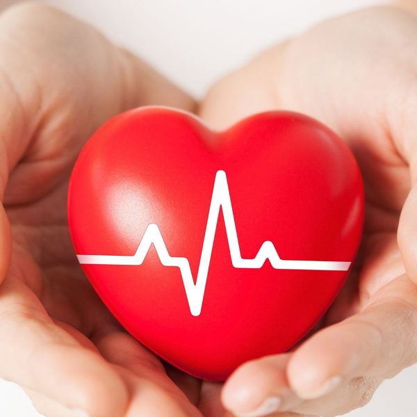 קורס אבחון הדופק2